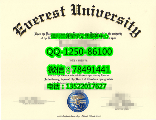 1030艾弗瑞斯特大学Everest University_副本.png