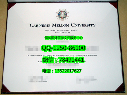 1038卡内基理工学院CarnegieInstitute of Technology2008_副本.jpg