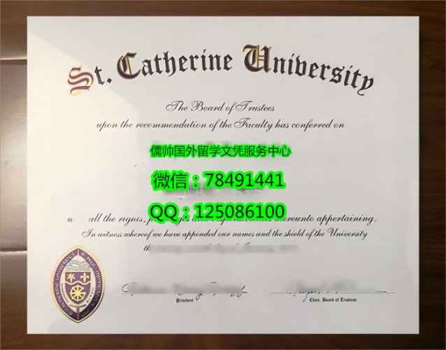 1100圣凯瑟琳大学St. Catherine University 2_副本.jpg 1100圣凯瑟琳大学St. Catherine University 2_副本.jpg