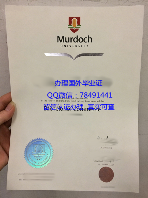 murdoch-university-diploma-australia.jpg.png