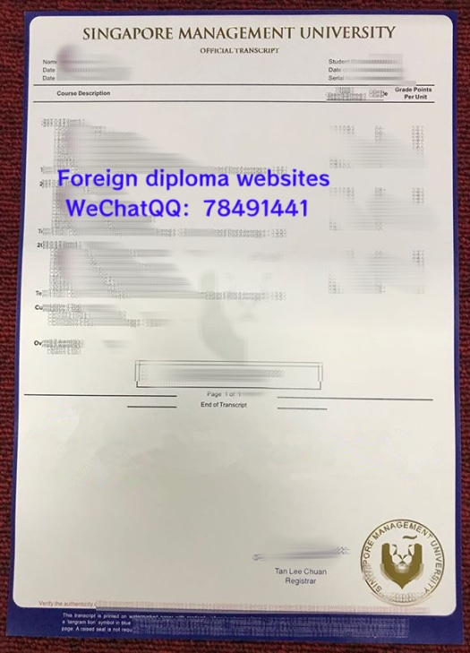singapore-management-university-transcript-sample-singapore.jpg.jpg