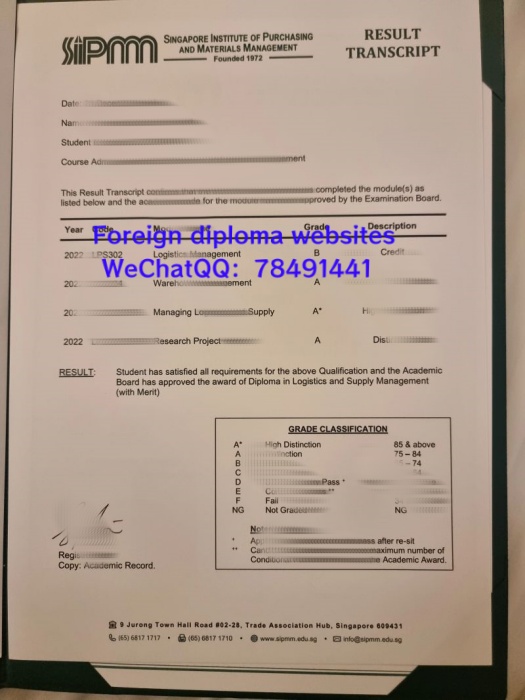 simm-university-transcript-sample-singapore.jpg.jpg