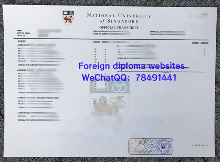 national-university-of-singapore-transcript-sample-singapore.jpg.jpg