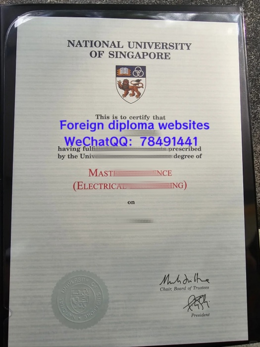 national-university-of-singapore-diploma-sample-singapore.jpg.jpg